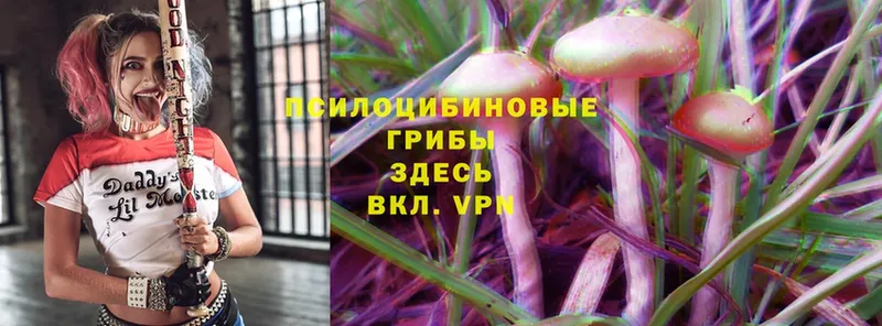 KRAKEN маркетплейс  Ейск  Псилоцибиновые грибы Magic Shrooms 